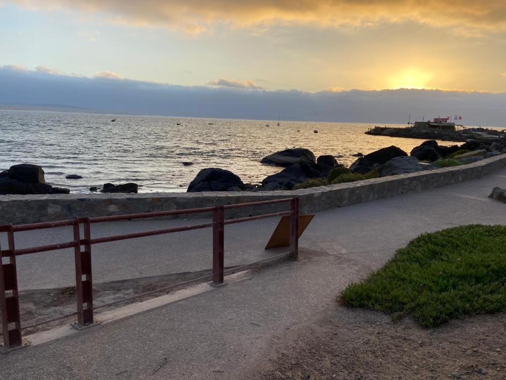 Camping Las Machas Hotel Bahía Inglesa Eksteriør billede