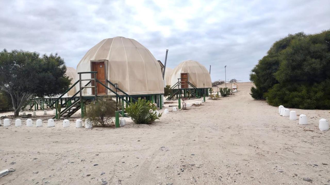 Camping Las Machas Hotel Bahía Inglesa Eksteriør billede